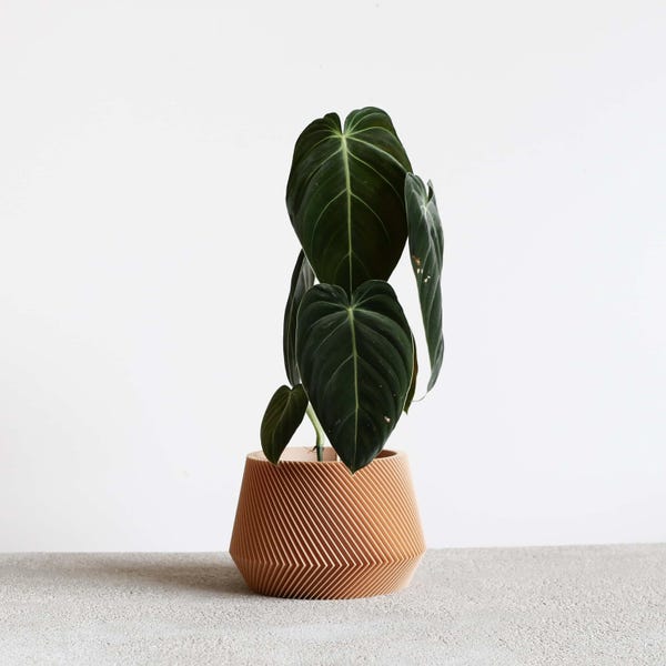 Beige unique indoor planter - perfect for green plant - OSLO