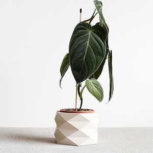 Pflanzgefäß im Design aus weißem Holz – minimalistisches und geometrisches Design, perfekt für Grünpflanzen!