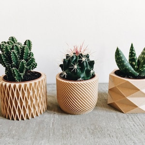 Set de 3 Mini pots, cache pots géométriques imprimés en Bois, design hygge pour plantes grasses ou cactus Cadeau original image 3