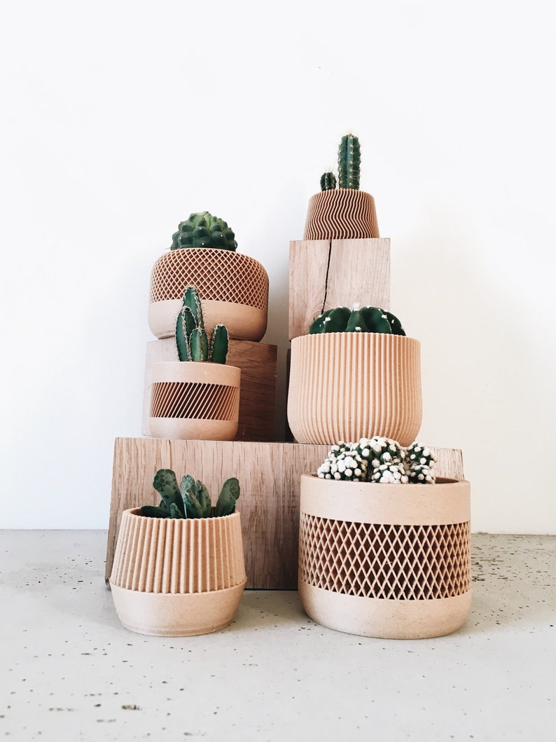 May include: A collection of six small potted plants in various styles of beige planters. The plants are arranged on a wooden shelf with a white background.