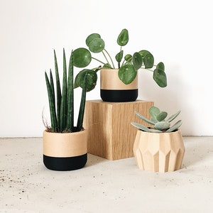 Set of 3 small indoor planters Original planter gift image 3