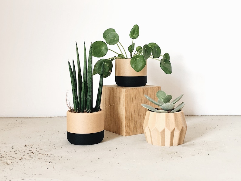 Set of 3 small indoor planters Original planter gift image 3