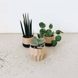 Set of 3 small indoor planters Original planter gift image 6