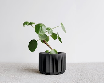 Black wood indoor planter - PRAHA perfect planter gift for plant lovers !
