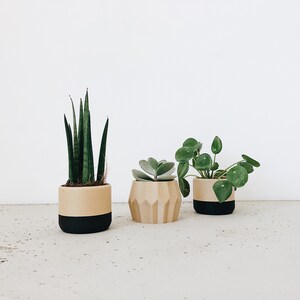 Set of 3 small indoor planters Original planter gift image 4