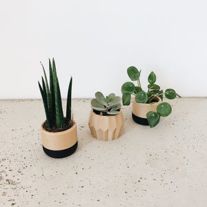 Set of 3 small indoor planters Original planter gift image 5