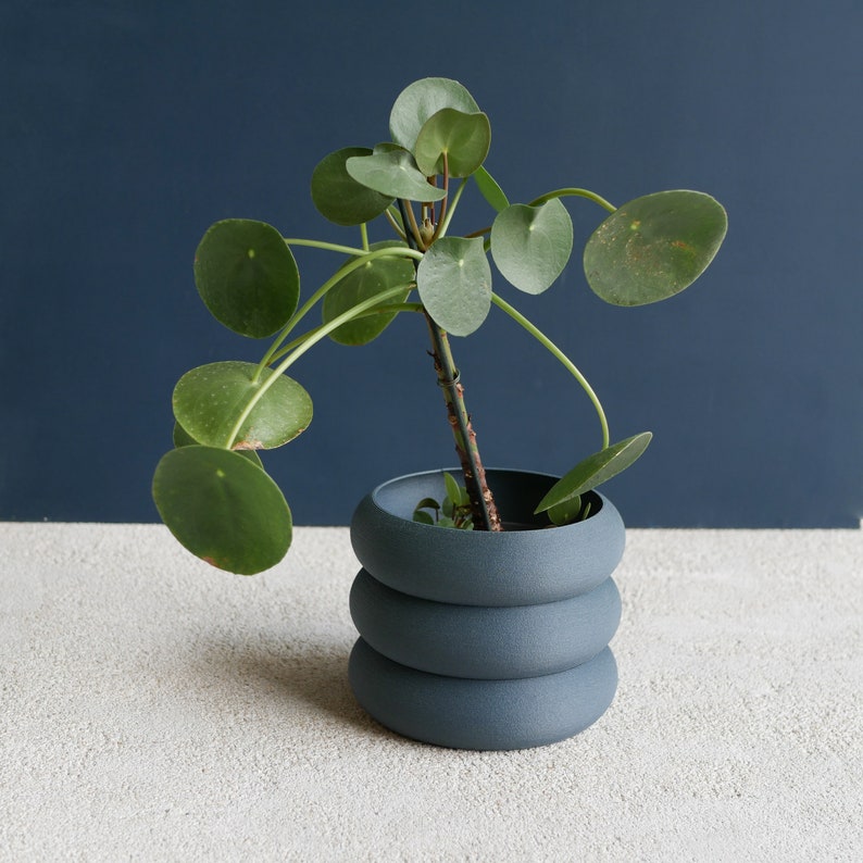 Terracotta Indoor wooden planter EDEN perfect for green plants, cactus et succulent plants image 5