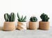 Set of 4 small indoor planters - Original planter gift !