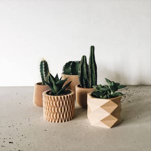 Set de 4 petits cache-pots géométriques imprimés en bois image 4