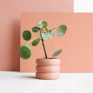 Geometrischer Terrakotta-Pflanztopf EDEN, perfekt für Ihre Grünpflanzen, Kakteen und Sukkulenten! originelles Geschenk