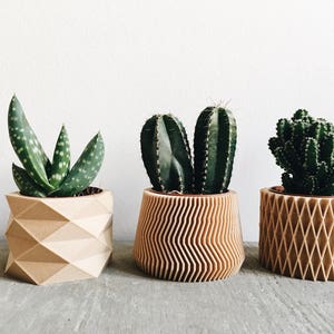 Set de 3 MINI Cache pots Bois géométriques parfaits pour succulente ou cactus image 1