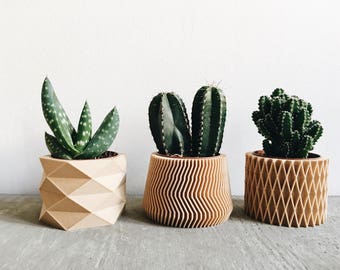 Set of 3 small wooden planters perfect for succulents or cacti