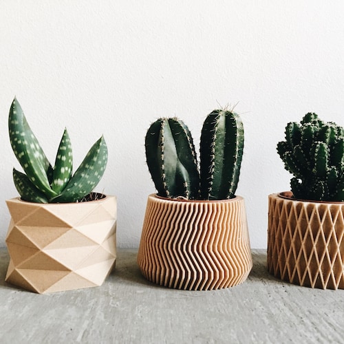 Set of 3 small wooden planters perfect for succulents or cacti
