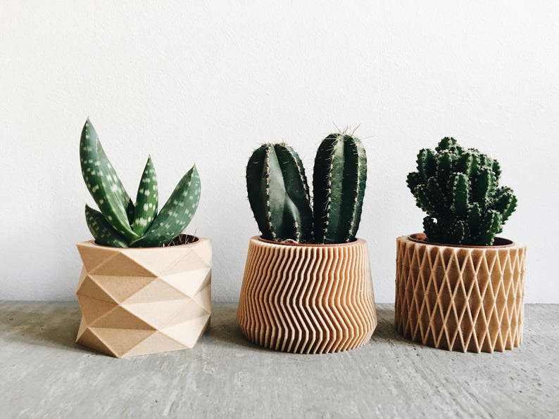 May include: Three potted plants with different types of succulents in geometric wooden planters. The planters are all different shapes and sizes, and the succulents are all green.