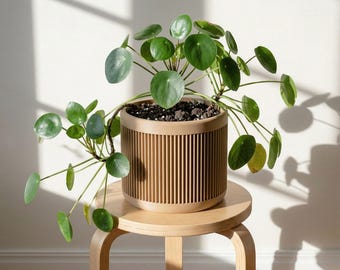 Natural Wood Japan Planter 15cm – Minimalist Japandi Decor with Drainage Option