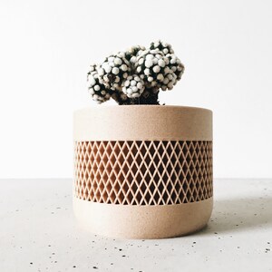 May include: A small, white and green cactus plant in a beige planter with a diamond pattern. The planter is made of a textured material.
