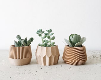 Set of 3 small succulent plant pots - original planter gift !