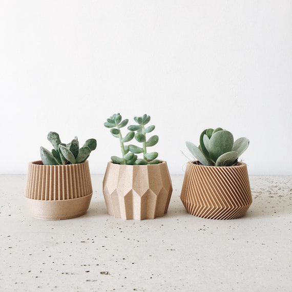 Set of 3 Small Succulent Plant Pots Original Planter Gift 