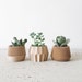 see more listings in the • Set of Planters section