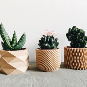 Set de 3 Mini pots, cache pots géométriques imprimés en Bois, design hygge pour plantes grasses ou cactus Cadeau original image 1