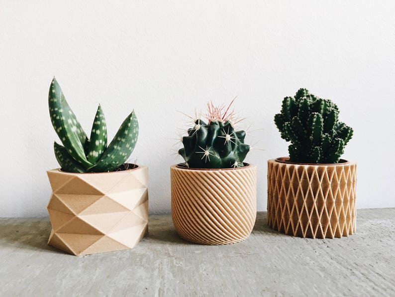 Set de 3 Mini pots, cache pots géométriques imprimés en Bois, design hygge pour plantes grasses ou cactus Cadeau original image 1