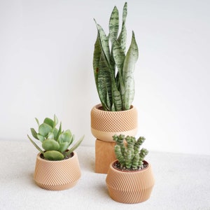 Set of 3 modern indoor plant pots perfect for succulent and cactus Original planter gift image 2