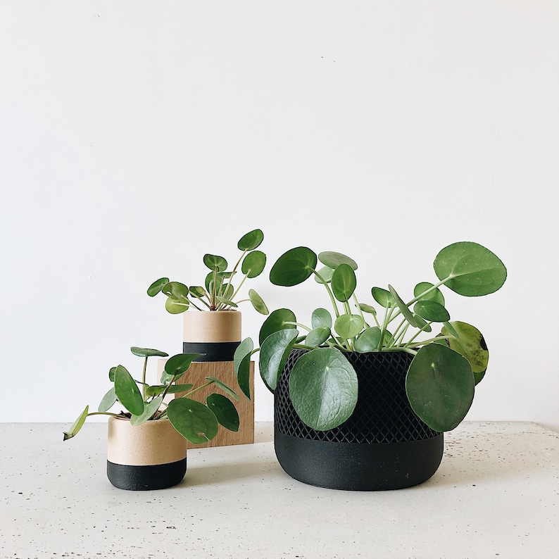 Cache pot bois noir Design géométrique et minimaliste / APPLE / Décoration scandinave image 3