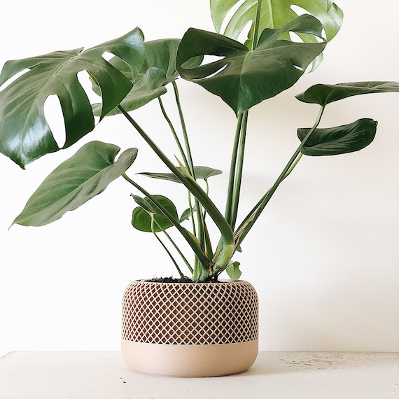 Pot design pour plantes d'intérieur Vert amande - Iriso