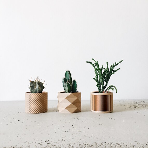 Set of 3 Small Indoor Wooden Pots Original Gift for Plant Lover 