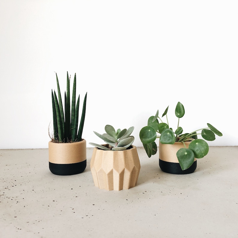 Set of 3 small indoor planters Original planter gift image 1