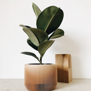 May include: A green leafy plant in a light brown wooden planter with a ribbed design. The planter is sitting on a light gray surface.