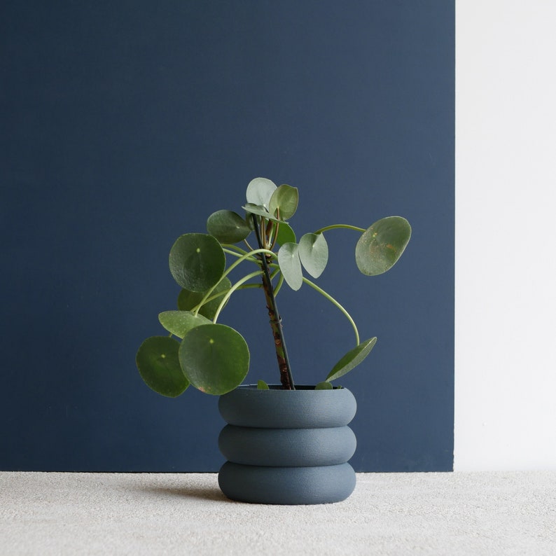 Terracotta Indoor wooden planter EDEN perfect for green plants, cactus et succulent plants image 1