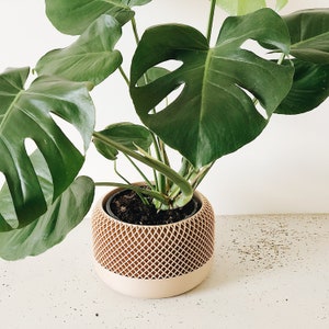 Grand cache-pot design bois APPLE parfait pour plantes vertes Décoration scandinave Cadeau original amoureux des plantes image 4