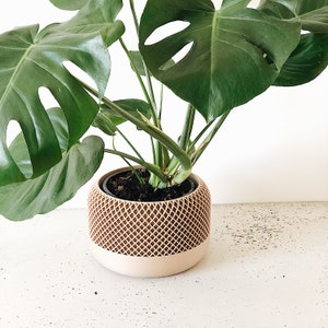 Grand cache-pot design bois APPLE parfait pour plantes vertes Décoration scandinave Cadeau original amoureux des plantes image 7