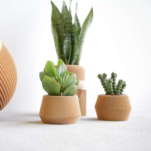 Set of 3 modern indoor plant pots perfect for succulent and cactus Original planter gift image 3