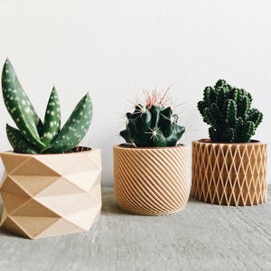 Set de 3 Mini pots, cache pots géométriques imprimés en Bois, design hygge pour plantes grasses ou cactus Cadeau original image 2