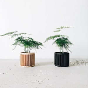 Set of 2 indoor wood planters - Japan