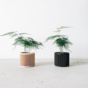May include: Two potted plants with green foliage in cylindrical planters. The planter on the left is made of light wood and the planter on the right is black.