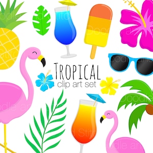 Tropical Clipart Pictures, Summer Clip Art Set, Flamingo Illusrations, Holiday Digital Designs