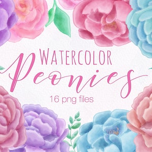 Watercolor Peony Clipart, Watercolour Flower Clip Art Illustratons, Pretty Painted Floral Illustrations, Watercolor Peonies, Commercial Use