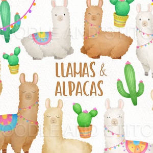 Llamas and Alpacas Clipart Illustrations, Llama Watercolor Clipart, Alpaca Wtercolor Clipart, Cute Llamas and Alpacas, Llamas, Alpacas