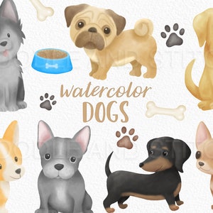Watercolor Dogs Clipart Illustrations, Cute Dog Breeds Clip Art Designs, Pug Chihuahua Dachshund Husky Illustrations, Commercial Use