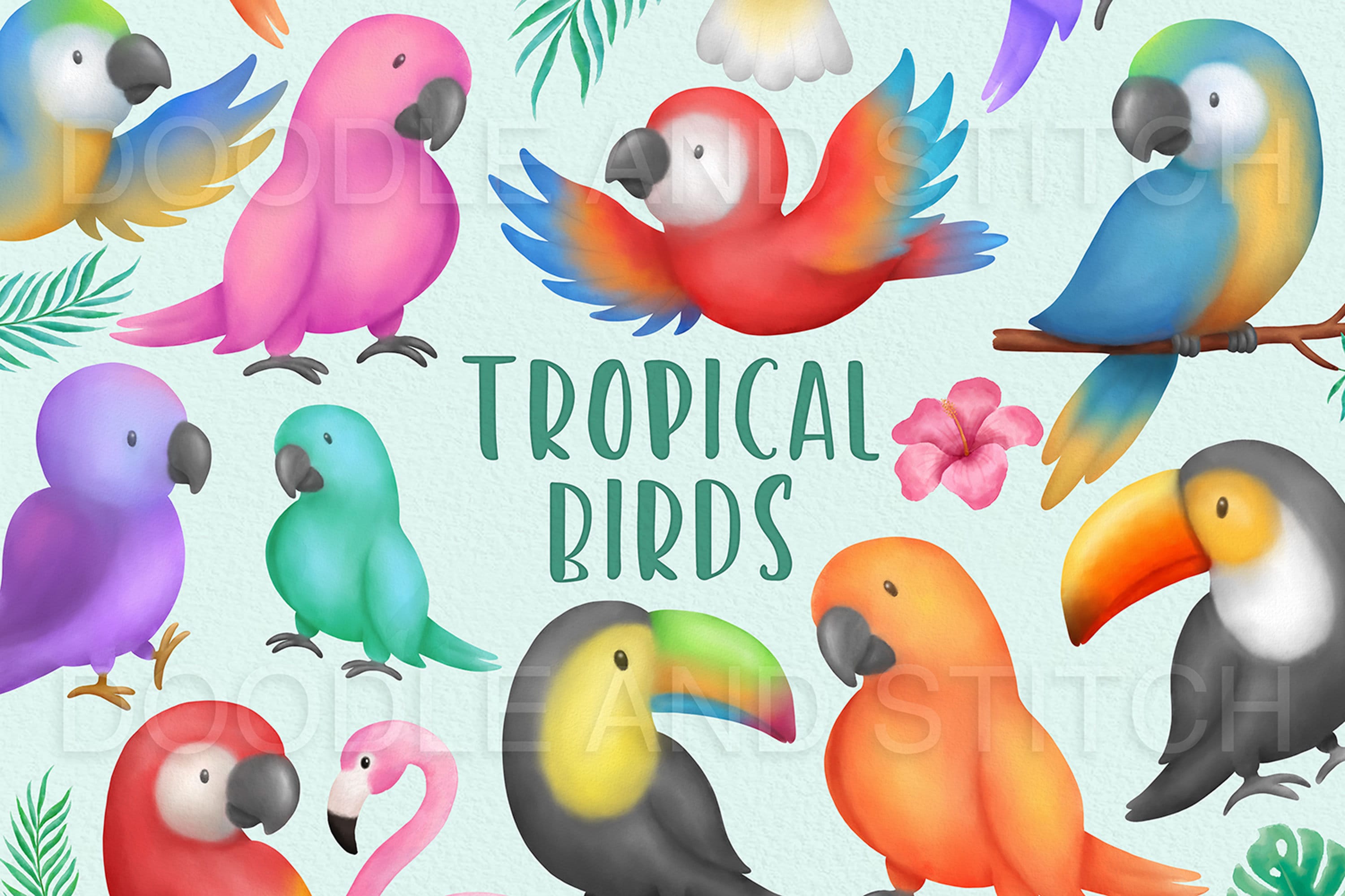 熱帯の鳥の水彩画クリップアート、楽園の鳥のクリップアートイラスト