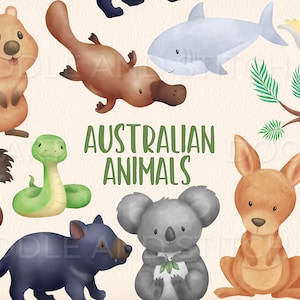 Australische Tiere Clipart Set, niedliche australische Tier Illustrationen, Känguru Koala Aquarell Clip Art, kommerzielle Nutzung