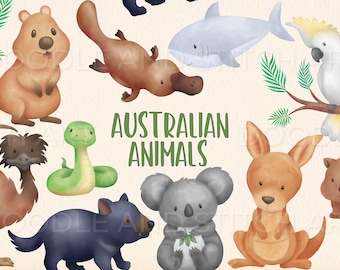 Set di clipart di animali australiani, illustrazioni di animali australiani carini, clipart dell'acquerello di canguro Koala, uso commerciale