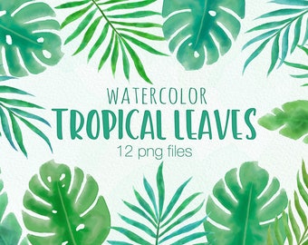 Tropical Leaf Clipart Illustrations, Watercolor Tropical Leaves, Tropical Watercolour Clip Art, Green Leaves, Summer Clipart, Commercial Use