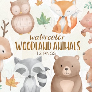 Bosdieren aquarel clipart, bos dieren clip art illustraties, schattige aquarel bos ontwerpen, herfst dieren clipart