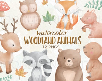 Woodland Animals Watercolor Clipart, Forest Animal Clip Art Illustrations, Cute Watercolour Woodland Designs, Autumn Animal Clipart