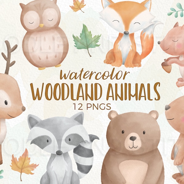 Woodland Animals Watercolor Clipart, Forest Animal Clip Art Illustrations, Cute Watercolour Woodland Designs, Autumn Animal Clipart