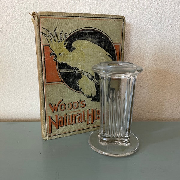 Vintage Science Lab Etsy